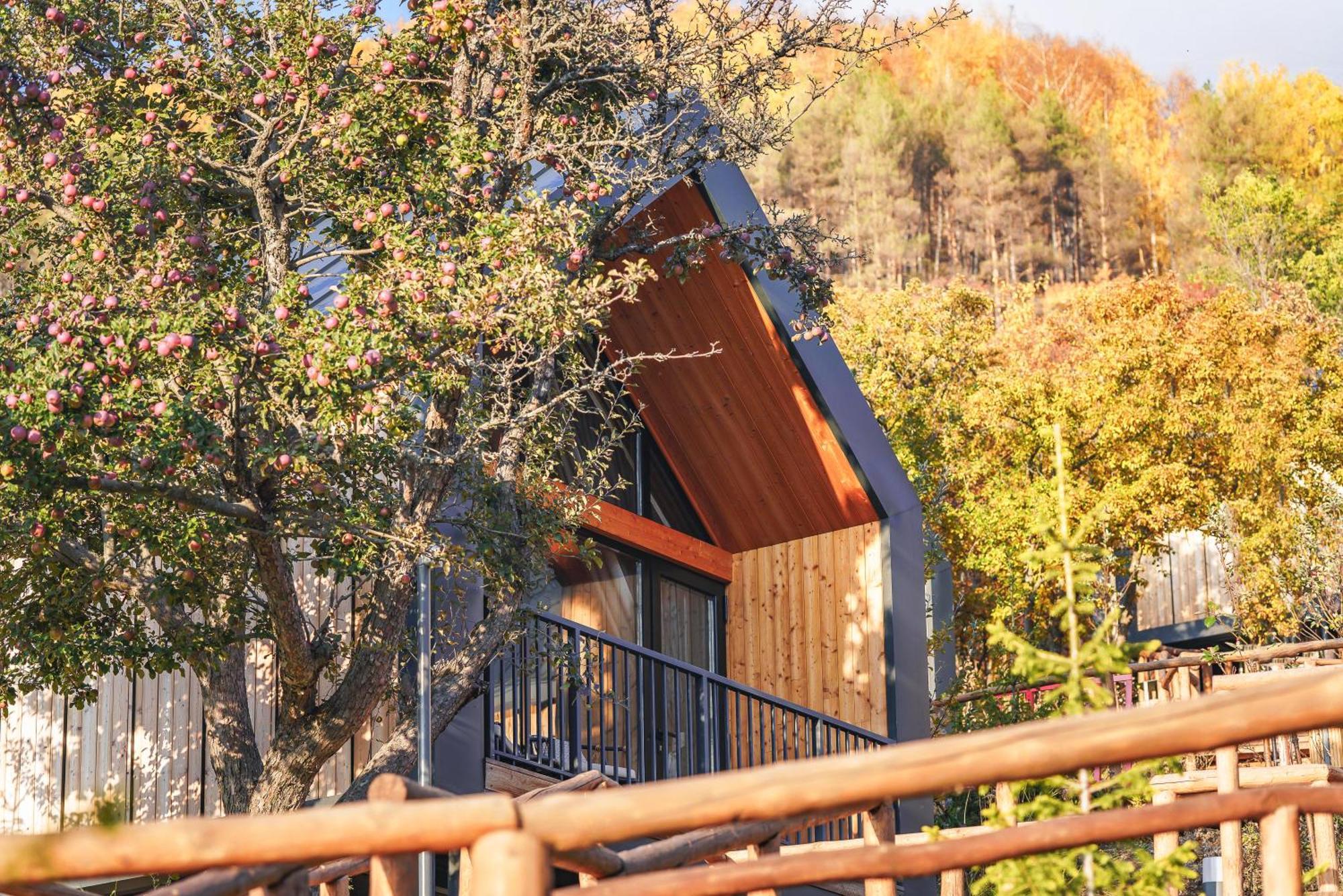 Qazaq Auyl Eco Hotel Almatî Exterior foto
